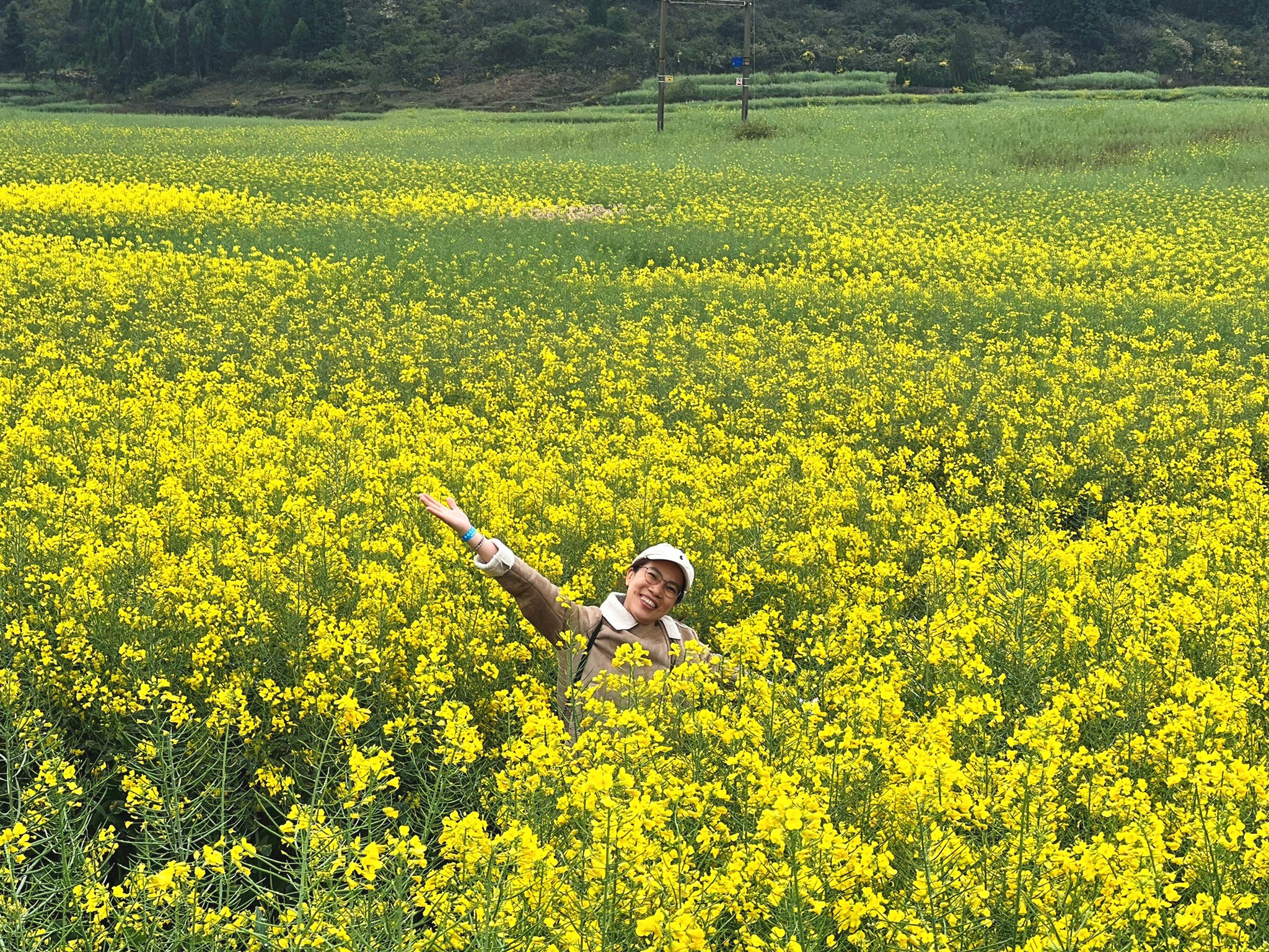 AD-KMG008-KY: คุนหมิง โหลวผิง ซากุระอี้เหลียง | 4 วัน 3 คืน (บินตรง !!)