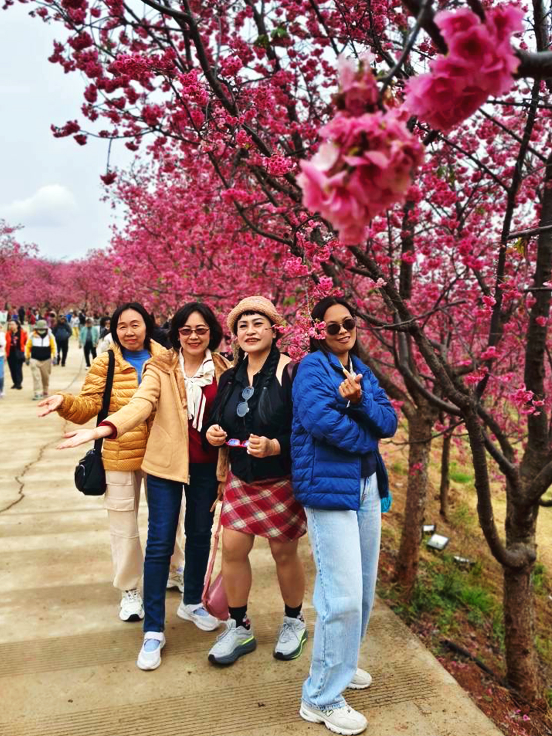 AD-KMG008-KY : คุนหมิง โหลวผิง ซากุระอี้เหลียง | 4 วัน 3 คืน