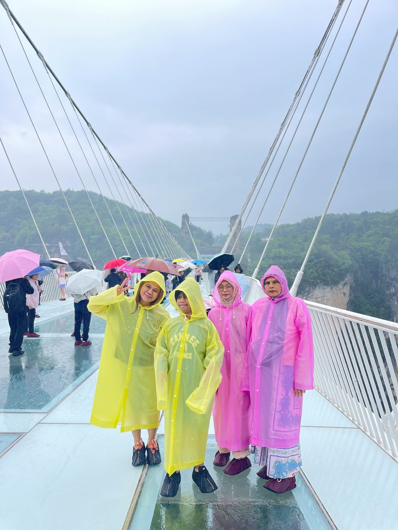 AD-CSX021-FD : ฉางซา จางเจียเจี้ย ฟูหรงเจิ้น พักเมืองโบราณเฟิงหวง นั่งรถไฟความเร็วสูง 1 ขา (ทัวร์ลงร้าน) | 5 วัน 4 คืน