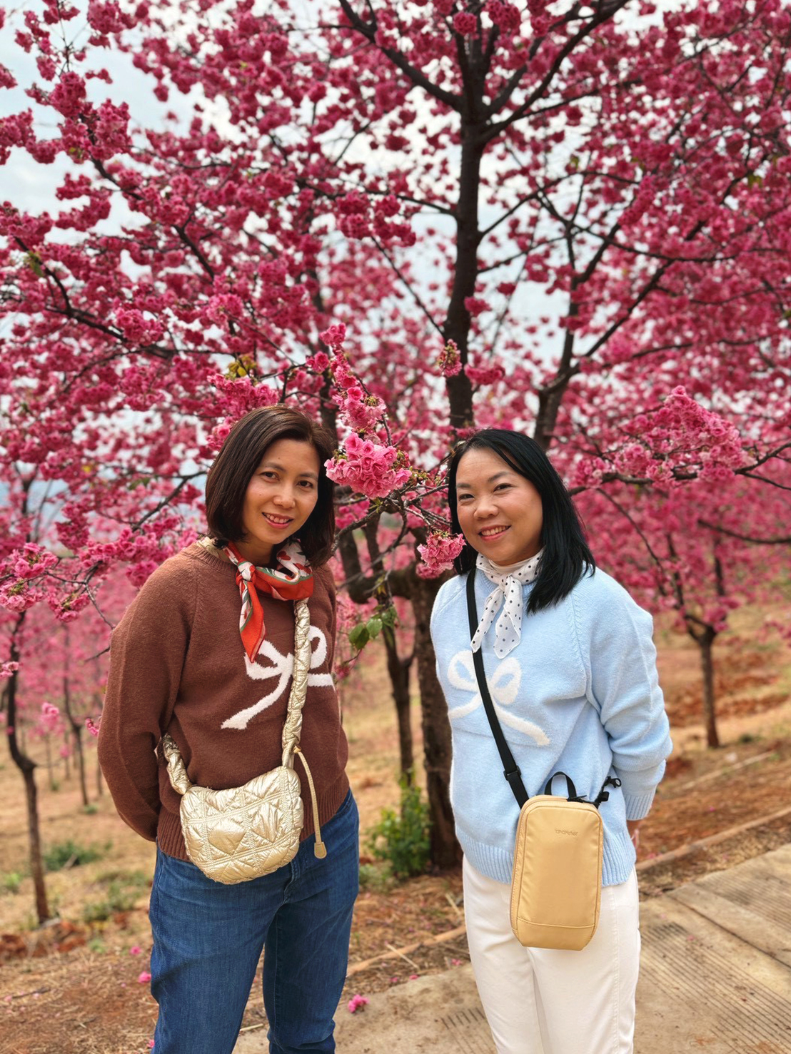 AD-KMG008-KY : คุนหมิง โหลวผิง ซากุระอี้เหลียง | 4 วัน 3 คืน