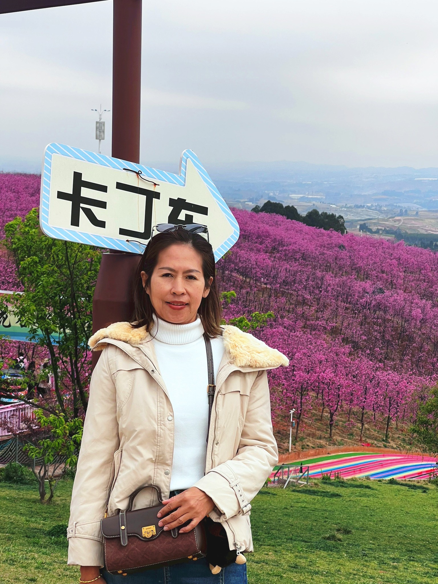 AD-KMG008-KY: คุนหมิง โหลวผิง ซากุระอี้เหลียง | 4 วัน 3 คืน (บินตรง !!)