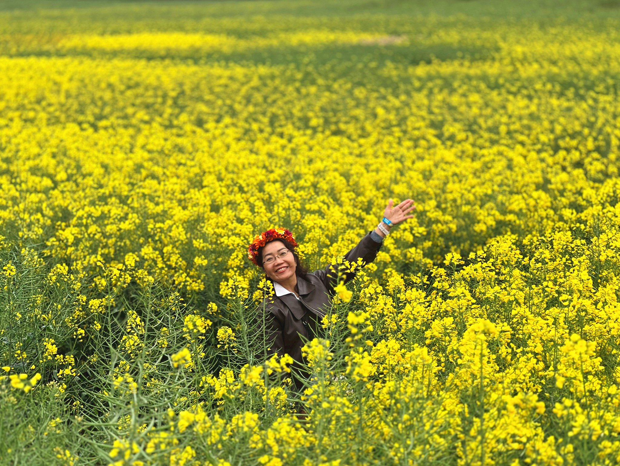 AD-KMG008-KY: คุนหมิง โหลวผิง ซากุระอี้เหลียง | 4 วัน 3 คืน (บินตรง !!)