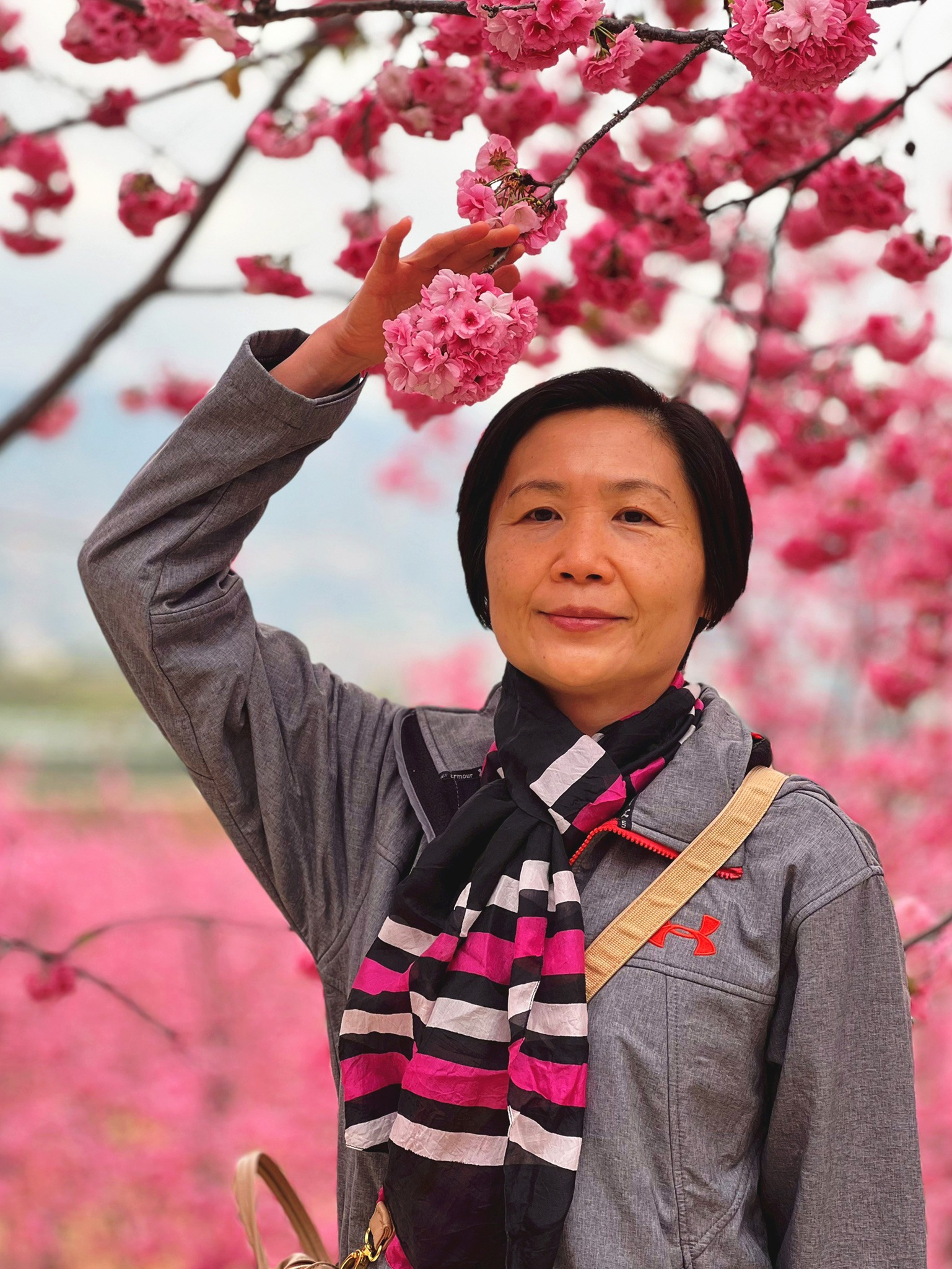 AD-KMG008-KY: คุนหมิง โหลวผิง ซากุระอี้เหลียง | 4 วัน 3 คืน (บินตรง !!)