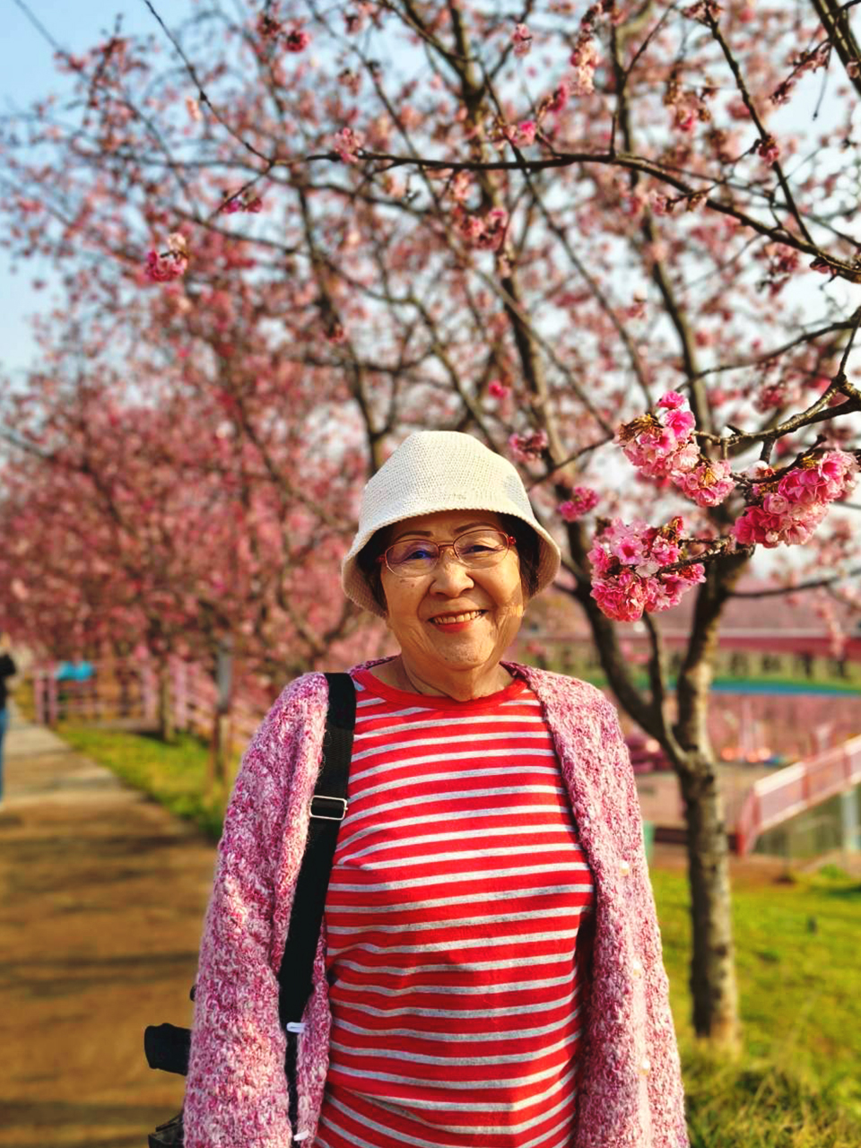 AD-KMG008-KY : คุนหมิง โหลวผิง ซากุระอี้เหลียง | 4 วัน 3 คืน (บินตรง !!)