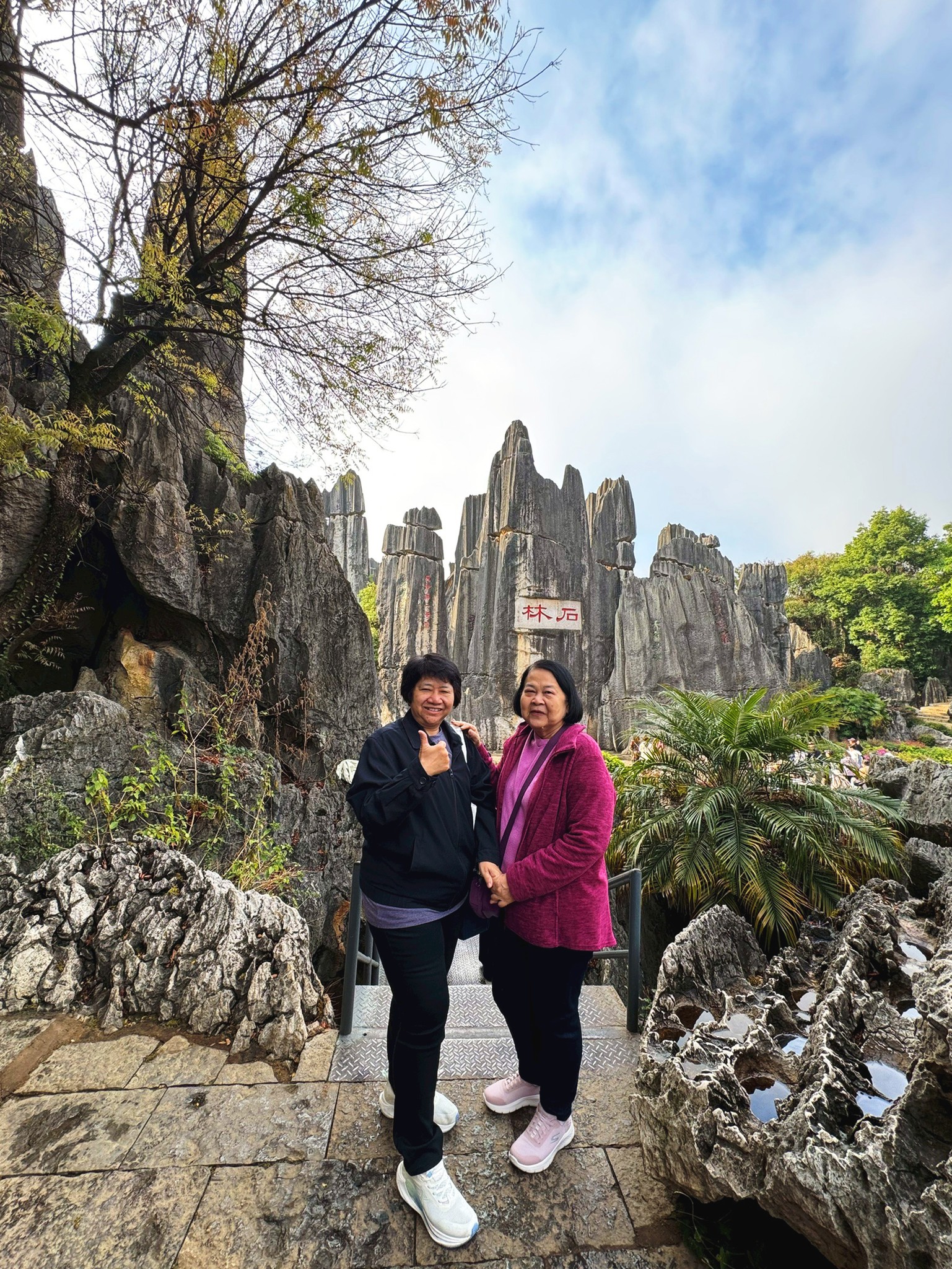 AD-KMG008-KY : คุนหมิง โหลวผิง ซากุระอี้เหลียง | 4 วัน 3 คืน