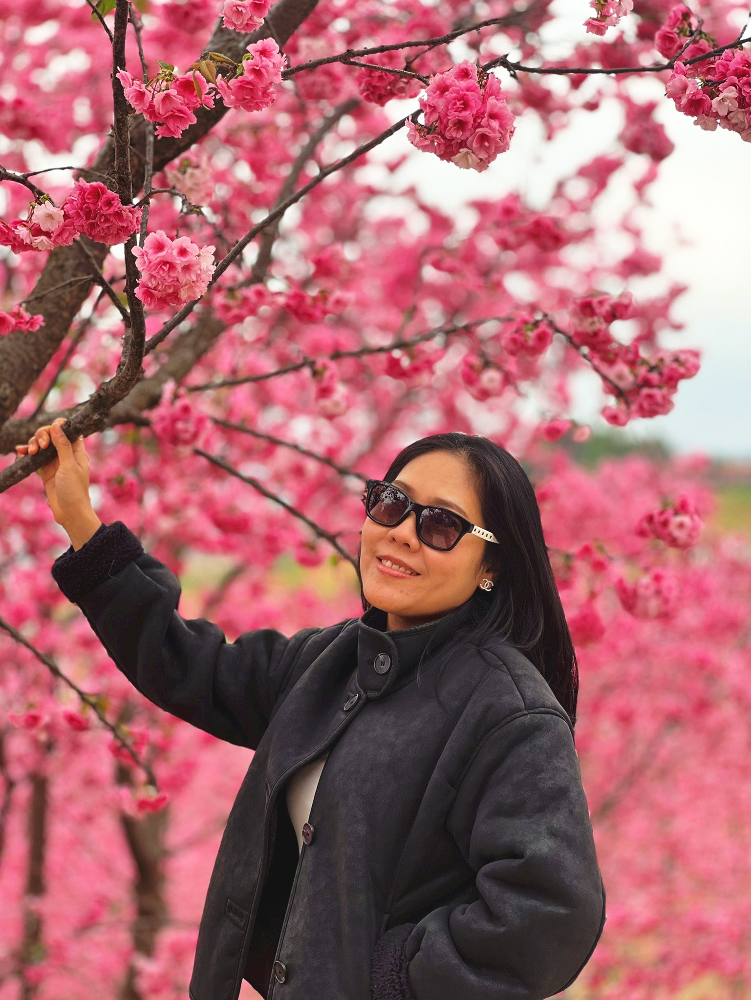 AD-KMG008-KY: คุนหมิง โหลวผิง ซากุระอี้เหลียง | 4 วัน 3 คืน (บินตรง !!)