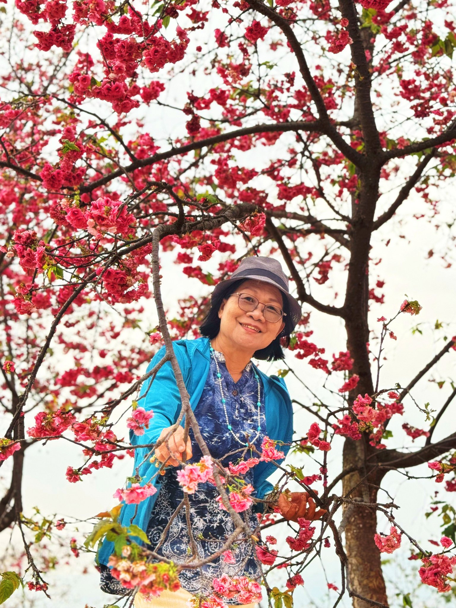 AD-KMG008-KY : คุนหมิง โหลวผิง ซากุระอี้เหลียง | 4 วัน 3 คืน