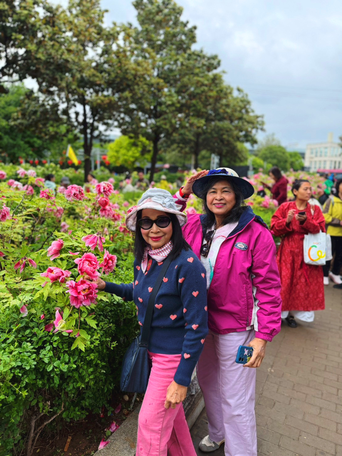 AD-YCU002-9C : ซีอาน ลั่วหยาง เติงฟง Peony & Cherry Blossom | 6 วัน 5 คืน