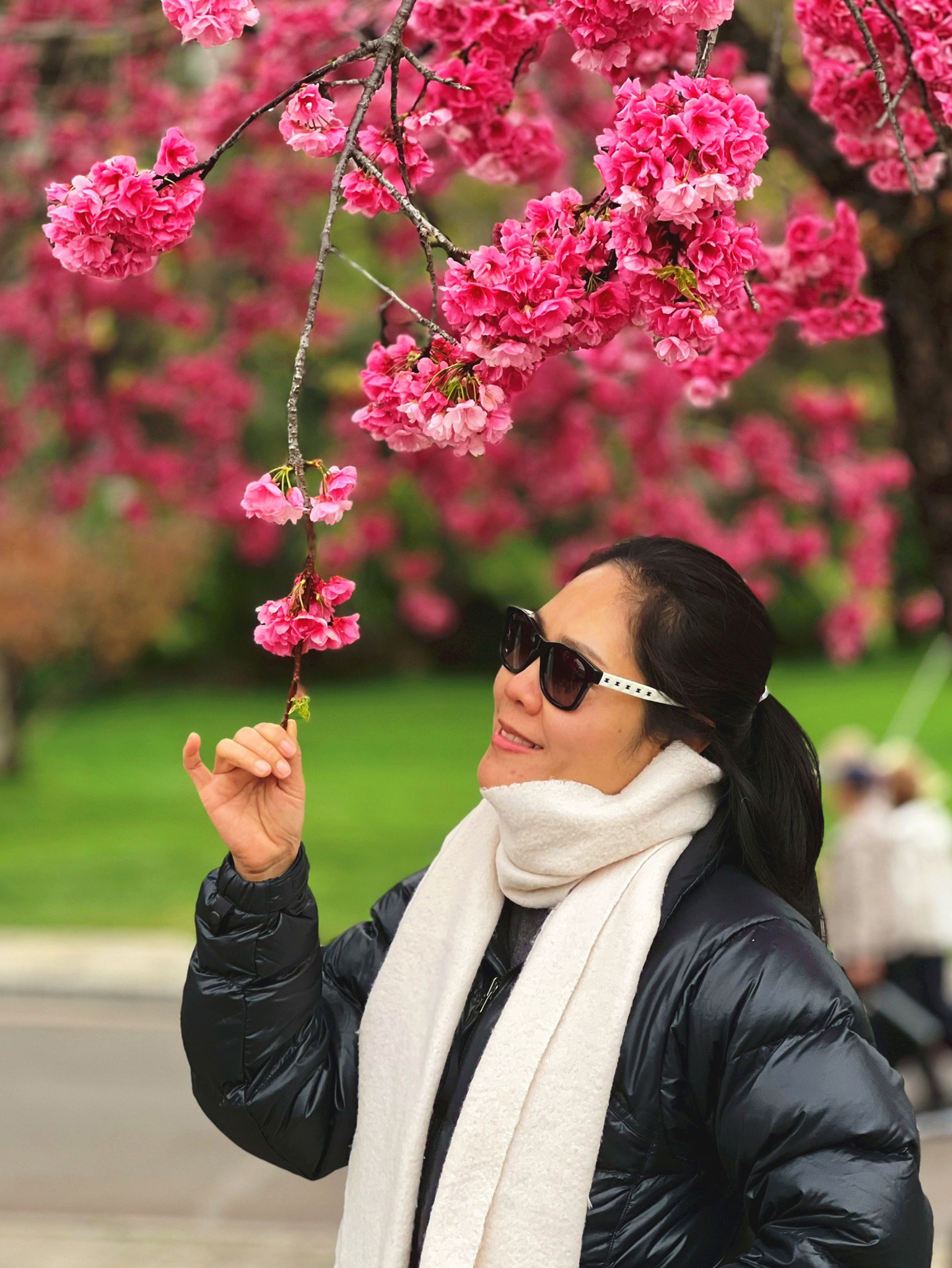 AD-KMG008-KY: คุนหมิง โหลวผิง ซากุระอี้เหลียง | 4 วัน 3 คืน (บินตรง !!)