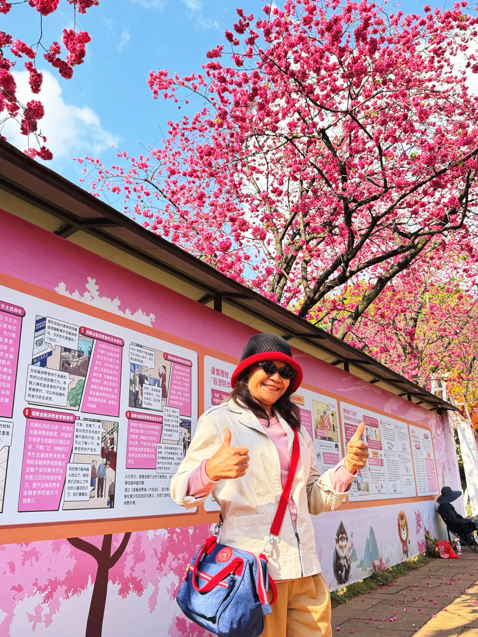 AD-KMG008-KY : คุนหมิง โหลวผิง ซากุระอี้เหลียง | 4 วัน 3 คืน