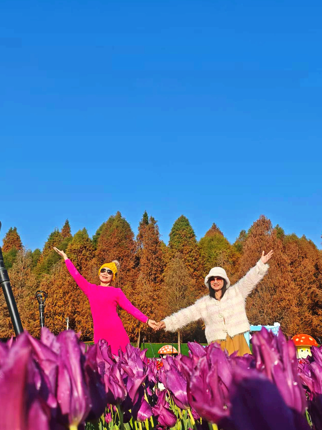 AD-KMG007-KY : คุนหมิง ภูเขาหิมะเจี้ยวจือ ตงชวน | 4 วัน 3 คืน