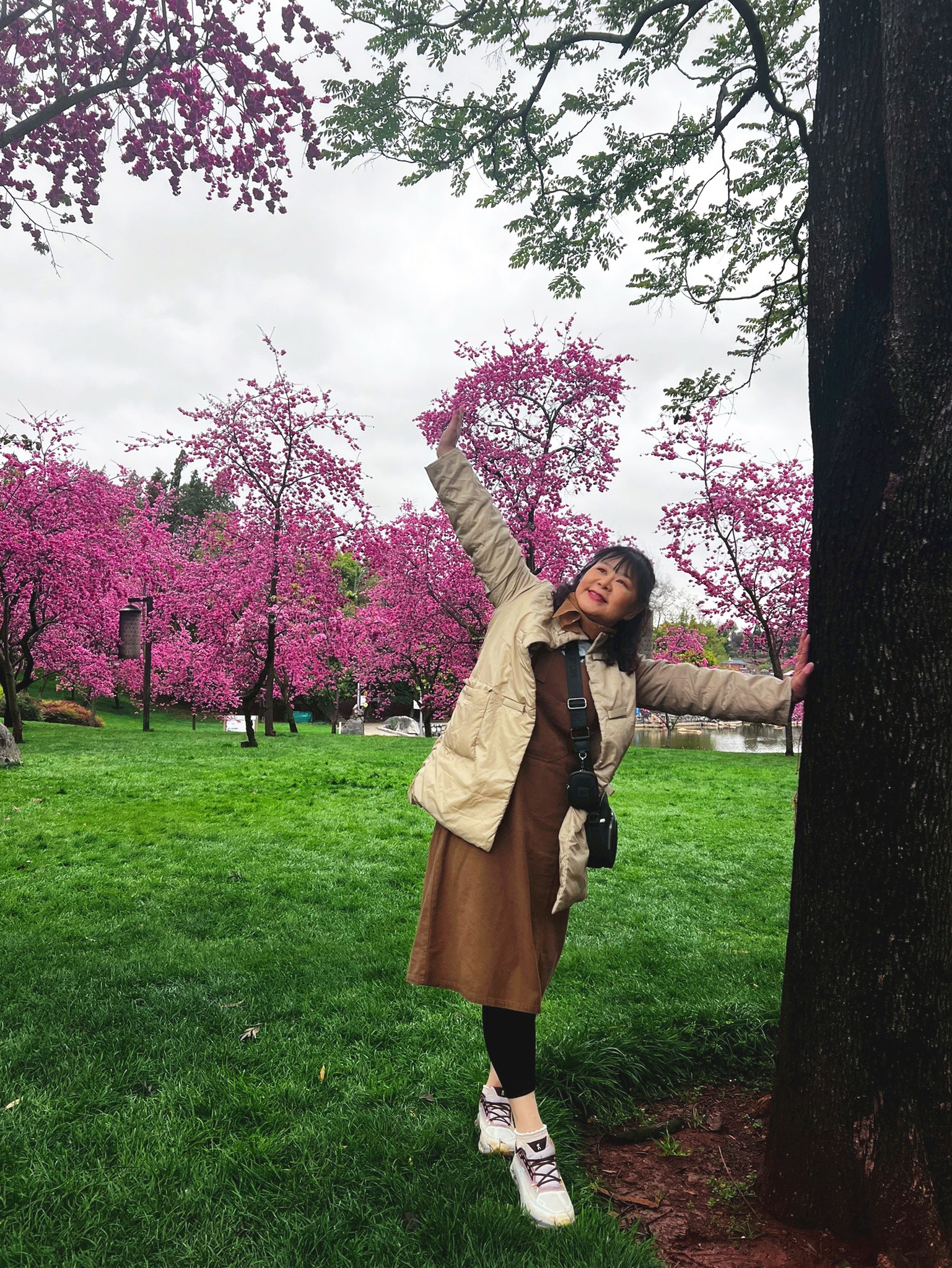 AD-KMG008-KY: คุนหมิง โหลวผิง ซากุระอี้เหลียง | 4 วัน 3 คืน (บินตรง !!)