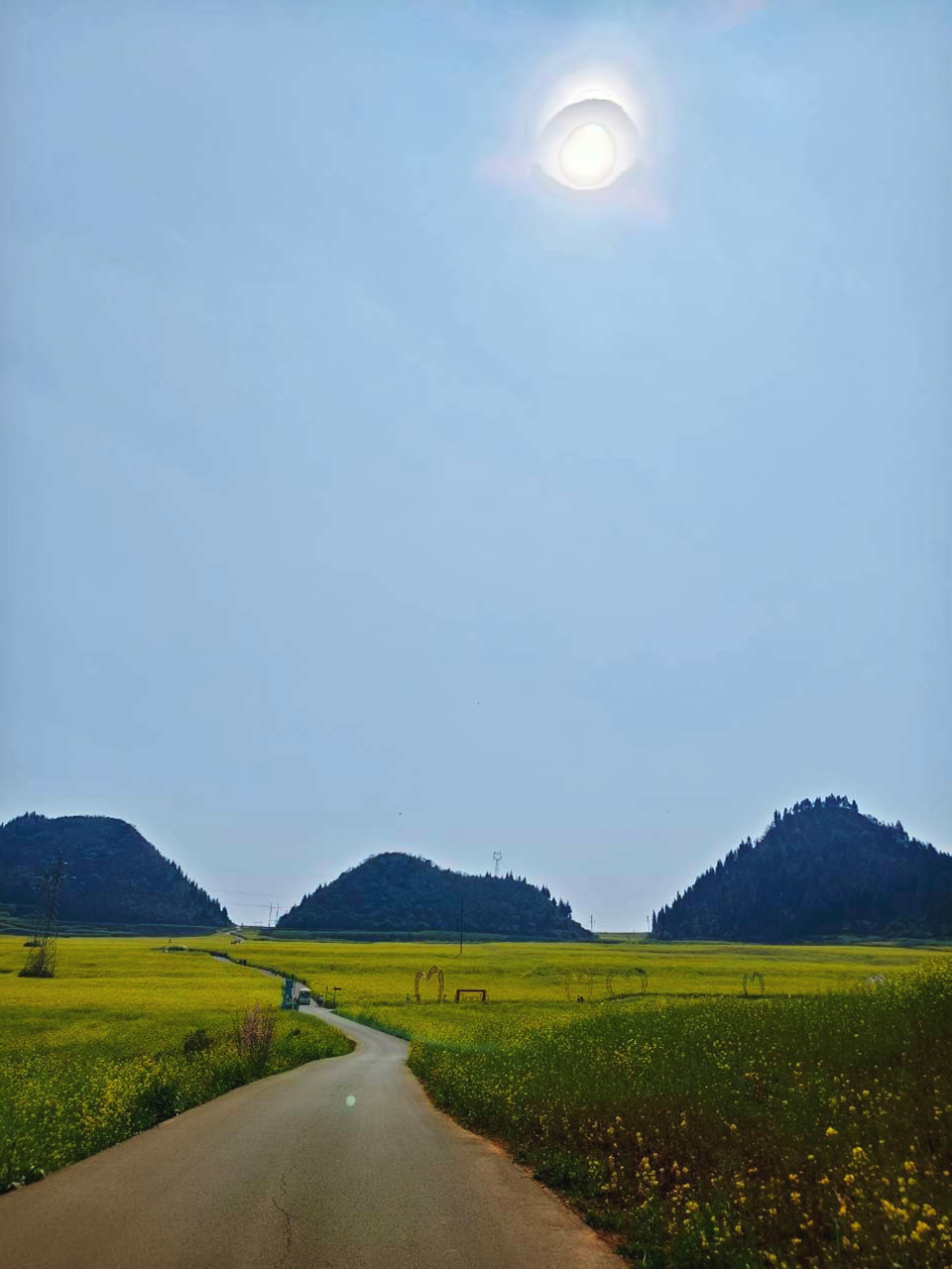 AD-KMG008-KY : คุนหมิง โหลวผิง ซากุระอี้เหลียง | 4 วัน 3 คืน (บินตรง !!)