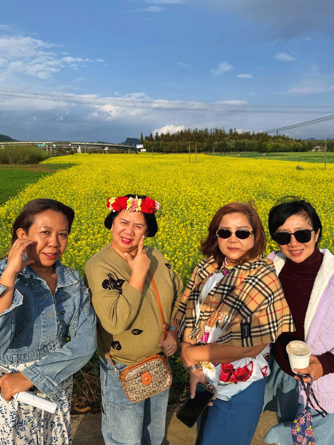 AD-KMG008-KY : คุนหมิง โหลวผิง ซากุระอี้เหลียง | 4 วัน 3 คืน