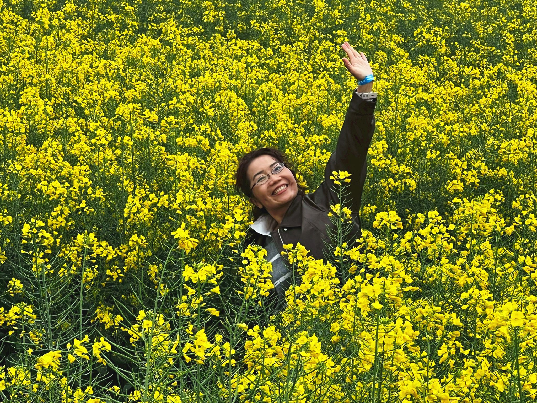 AD-KMG008-KY: คุนหมิง โหลวผิง ซากุระอี้เหลียง | 4 วัน 3 คืน (บินตรง !!)