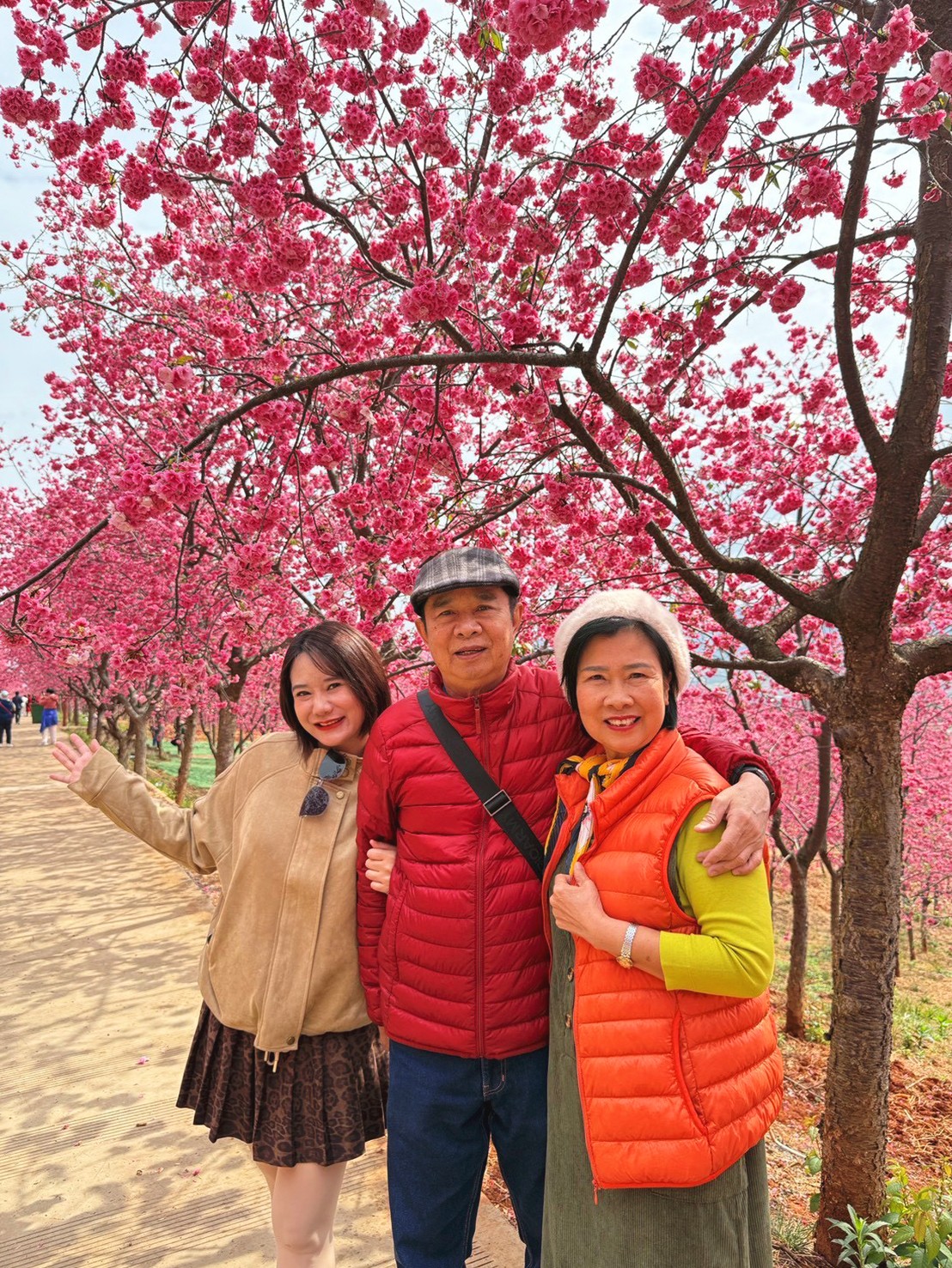 AD-KMG008-KY : คุนหมิง โหลวผิง ซากุระอี้เหลียง | 4 วัน 3 คืน