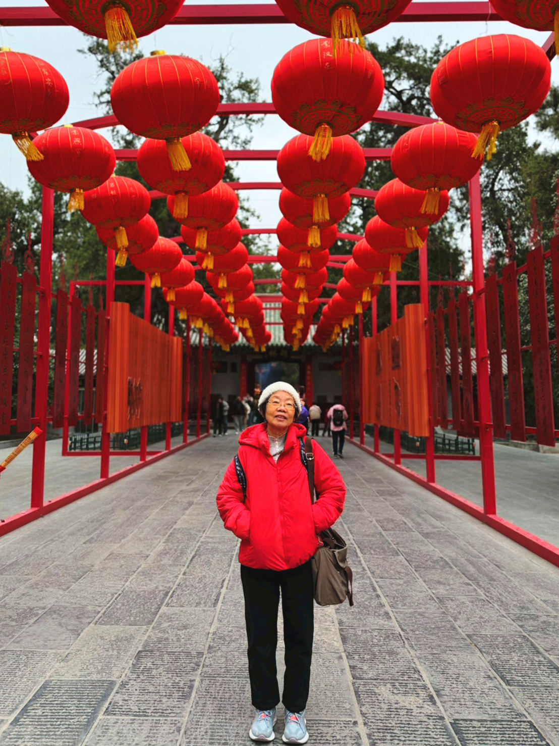 AD-XIY004-FD : ซีอาน ลั่วหยาง เจิ้งโจว ไคเฟิง | 6 วัน 5 คืน (บินตรง !!)