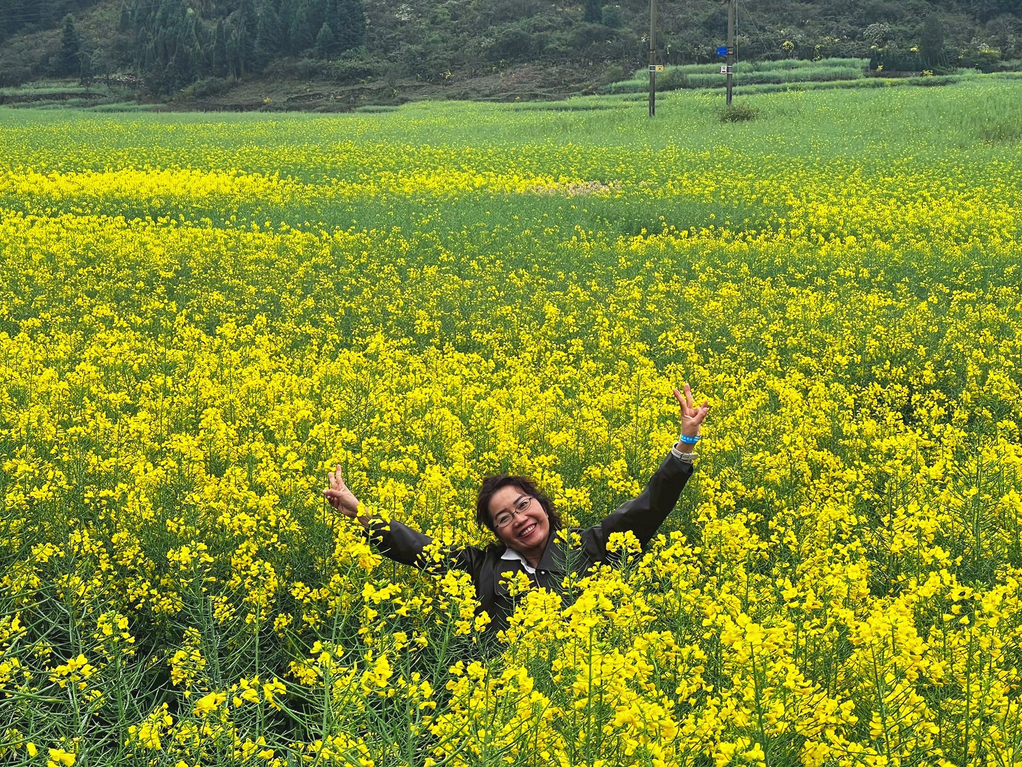 AD-KMG008-KY: คุนหมิง โหลวผิง ซากุระอี้เหลียง | 4 วัน 3 คืน (บินตรง !!)