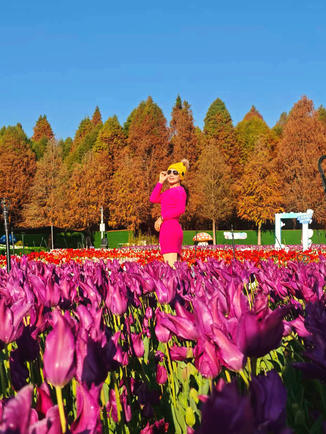 AD-KMG007-KY : คุนหมิง ภูเขาหิมะเจี้ยวจือ ตงชวน | 4 วัน 3 คืน