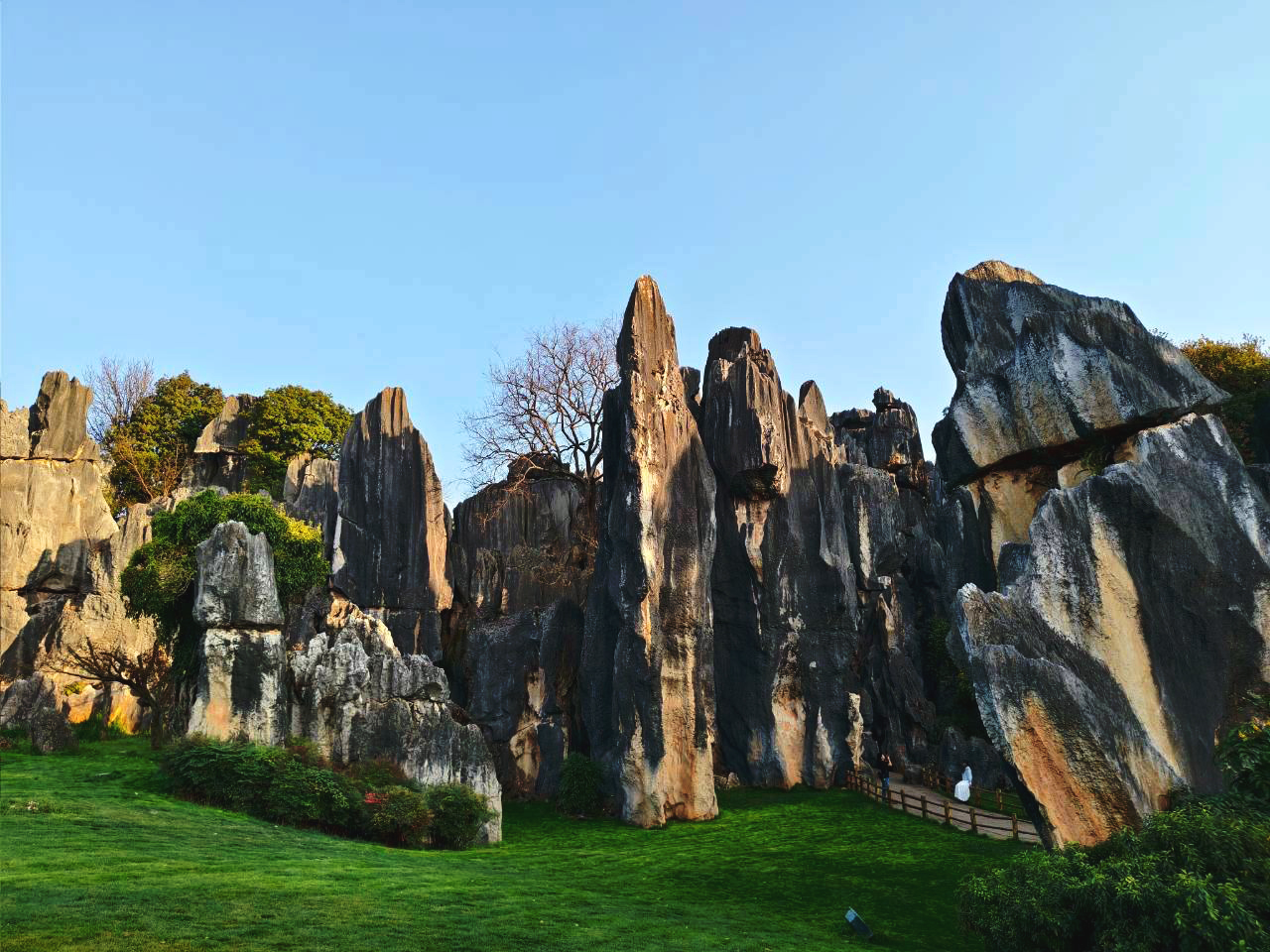 AD-KMG008-KY : คุนหมิง โหลวผิง ซากุระอี้เหลียง | 4 วัน 3 คืน (บินตรง !!)