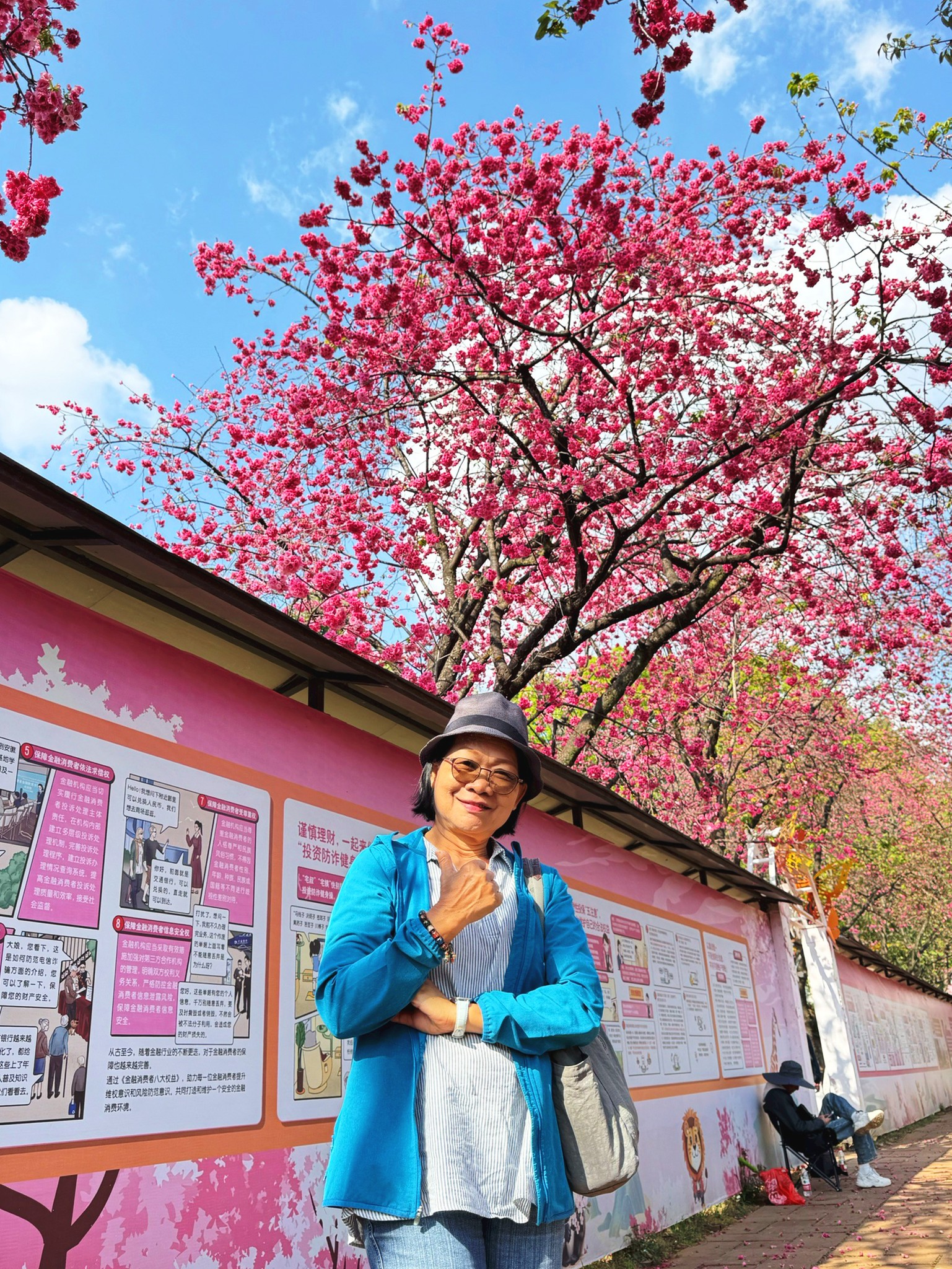 AD-KMG008-KY : คุนหมิง โหลวผิง ซากุระอี้เหลียง | 4 วัน 3 คืน