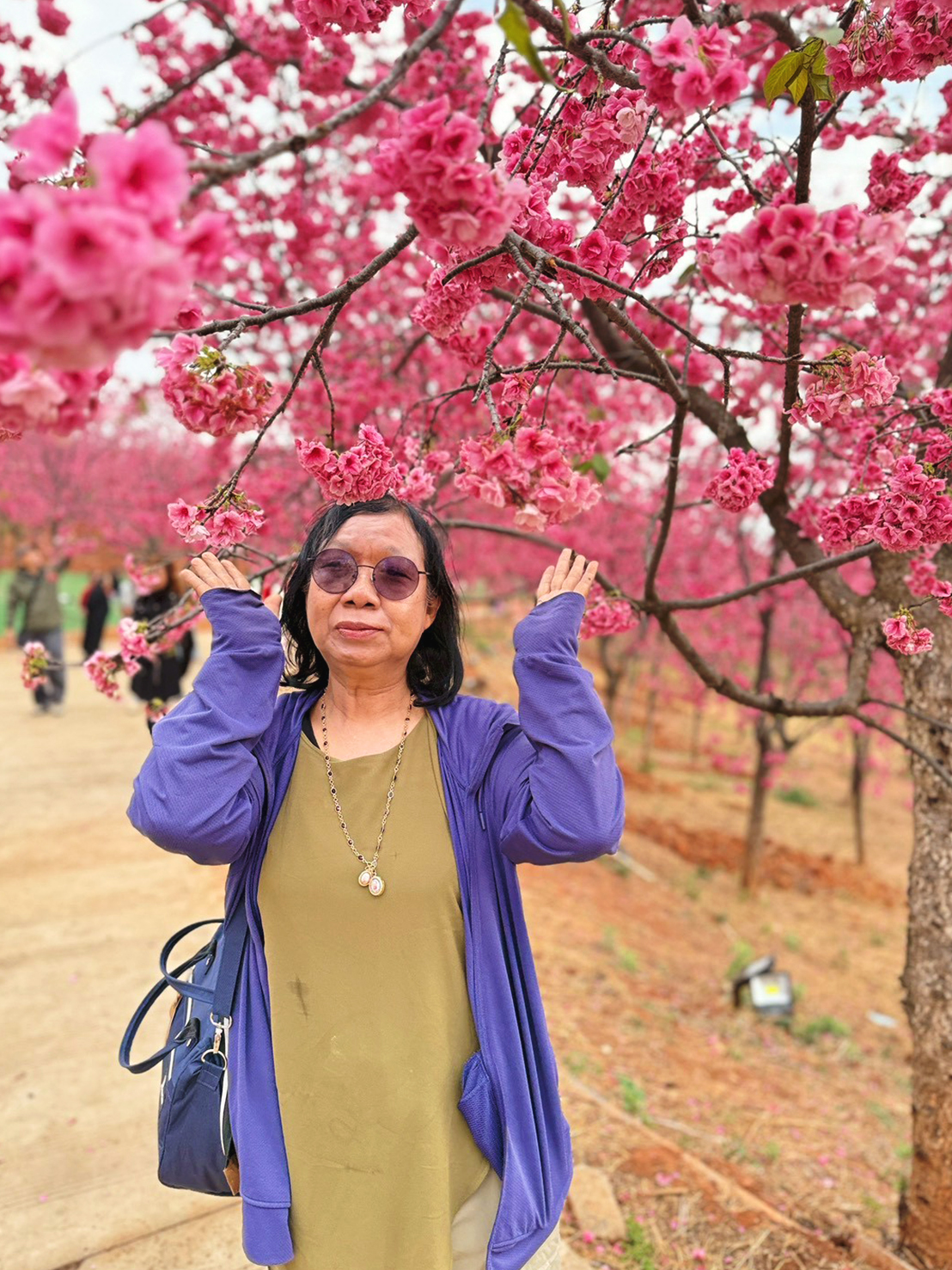 AD-KMG008-KY : คุนหมิง โหลวผิง ซากุระอี้เหลียง | 4 วัน 3 คืน