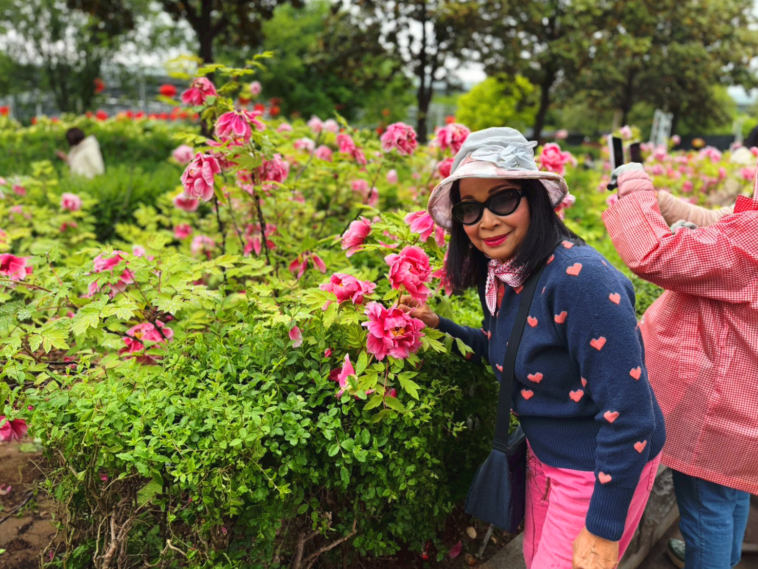 AD-YCU002-9C : ซีอาน ลั่วหยาง เติงฟง Peony & Cherry Blossom | 6 วัน 5 คืน