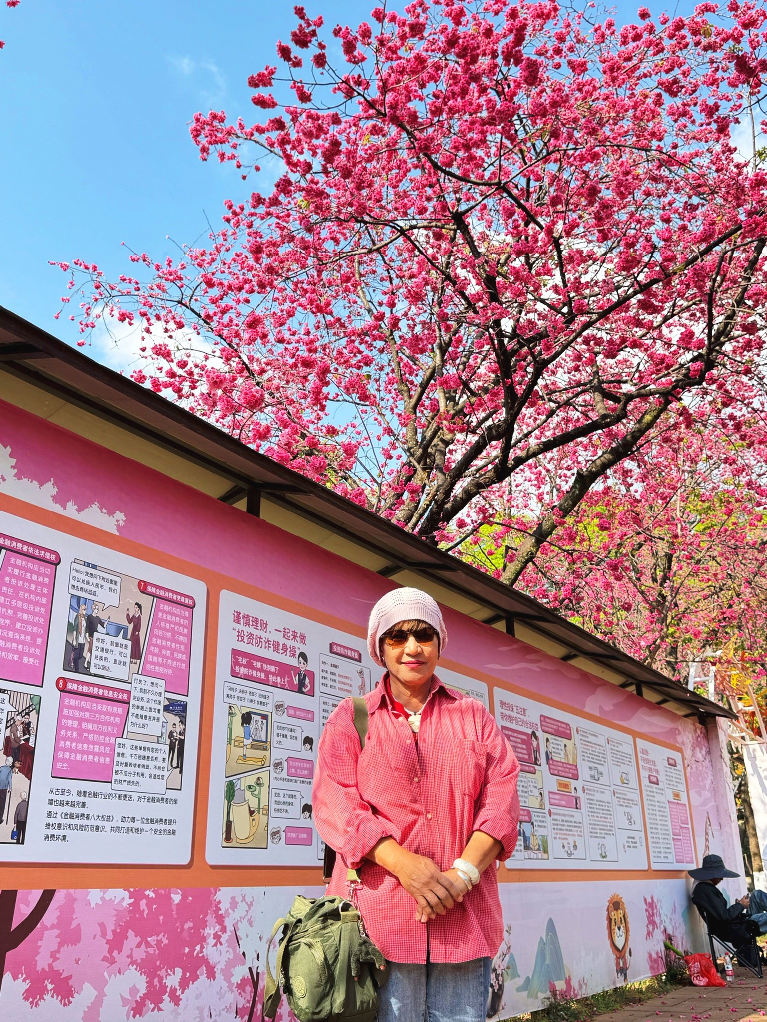 AD-KMG008-KY : คุนหมิง โหลวผิง ซากุระอี้เหลียง | 4 วัน 3 คืน