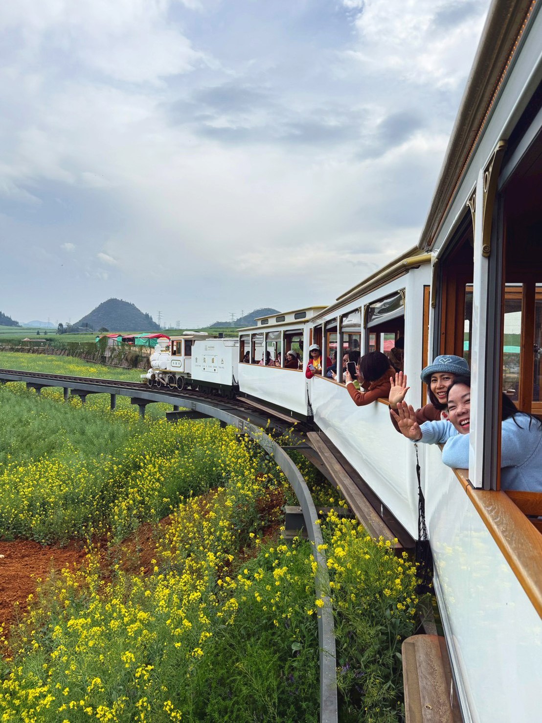 AD-KMG008-KY : คุนหมิง โหลวผิง ซากุระอี้เหลียง | 4 วัน 3 คืน